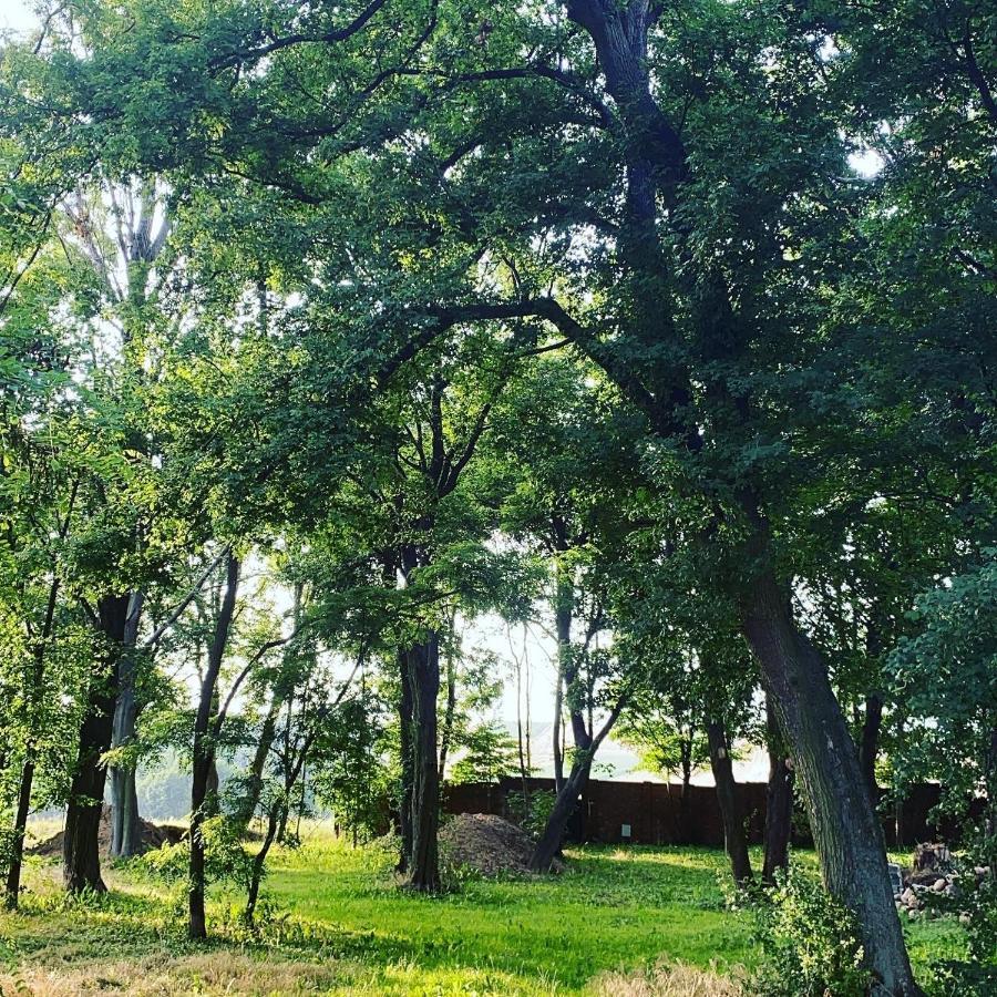 Palac Osowo Gostynskie Εξωτερικό φωτογραφία